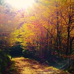 La Presa Отель типа 