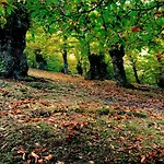 La Presa