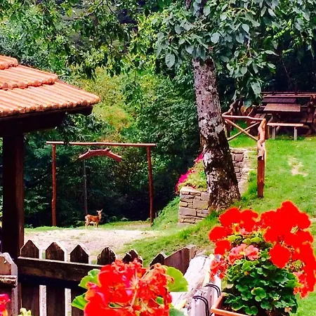 Bed & Breakfast La Presa Molino del Pallone