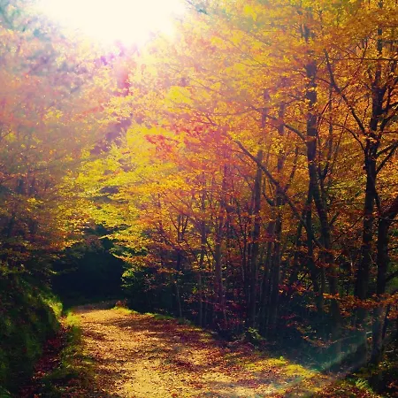 La Presa فندق مبيت وإفطار *