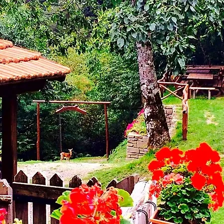 Bed & Breakfast La Presa Molino del Pallone