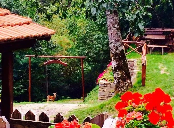 Bed & Breakfast La Presa Molino del Pallone